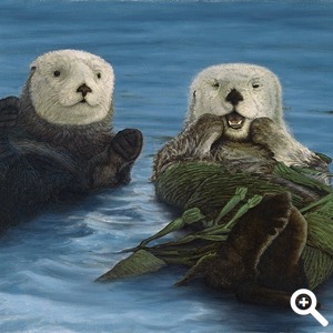 Monterey Bay Otters